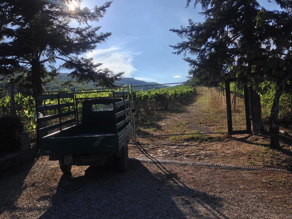 Villa Buonasera Agriturismo Greve in Chianti Exterior foto